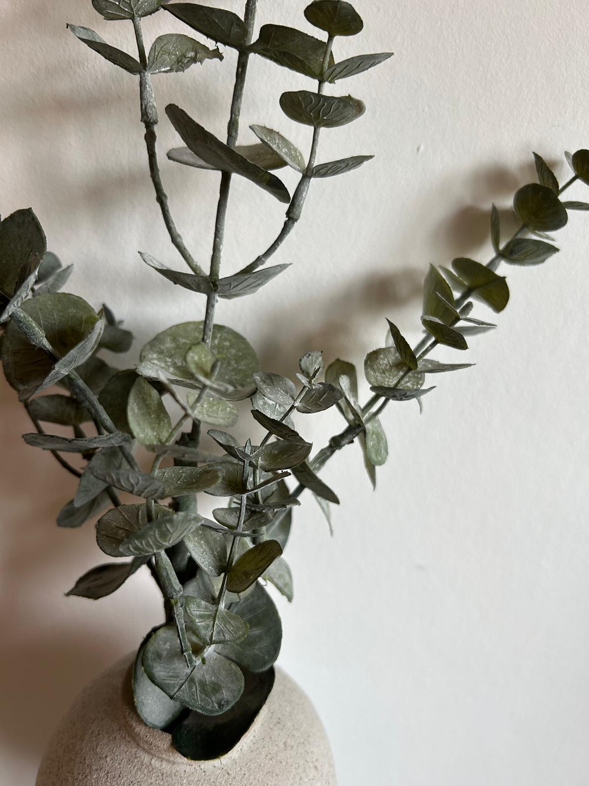 eucalyptus kunst