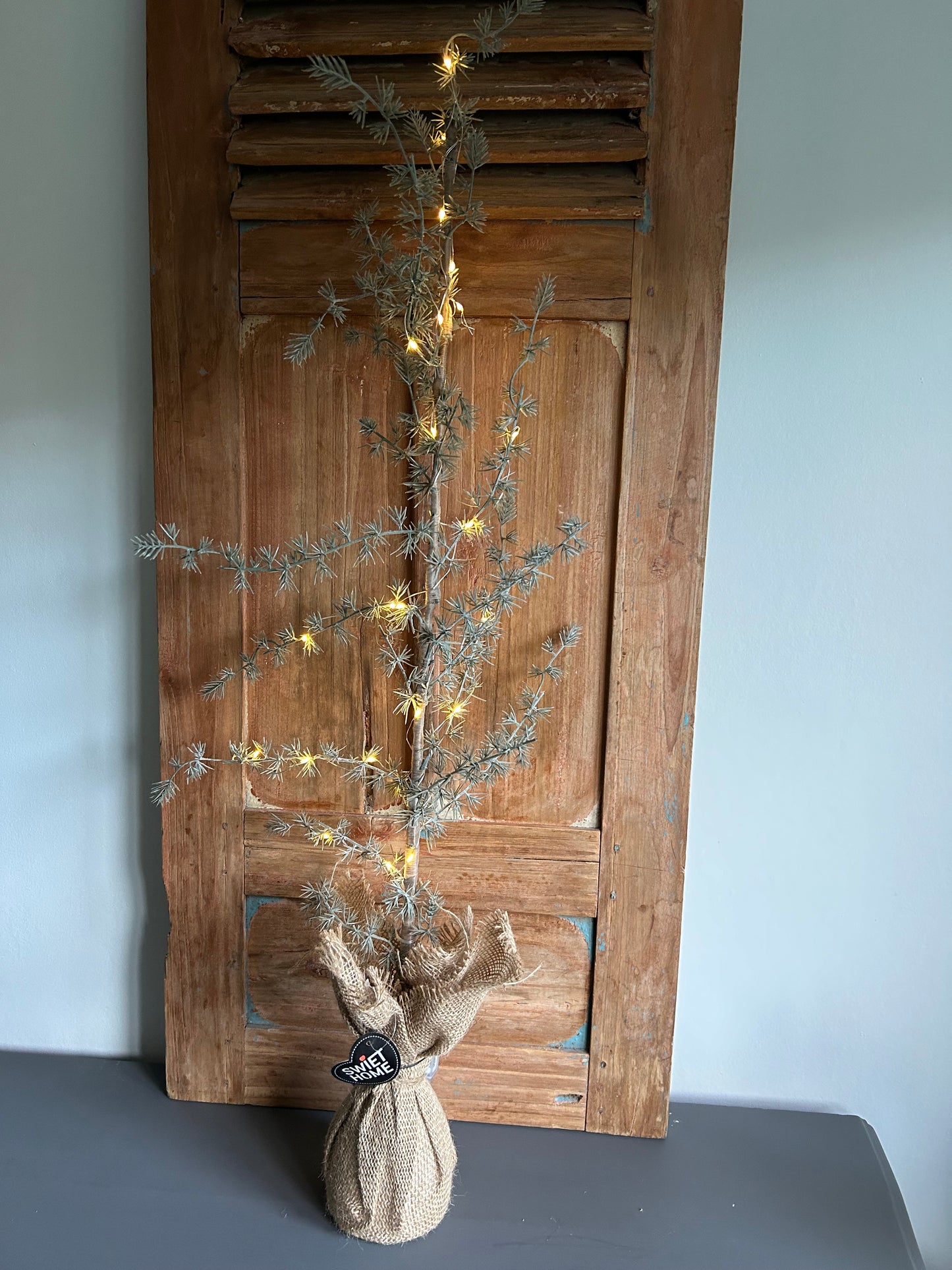 Cederboompje met verlichting