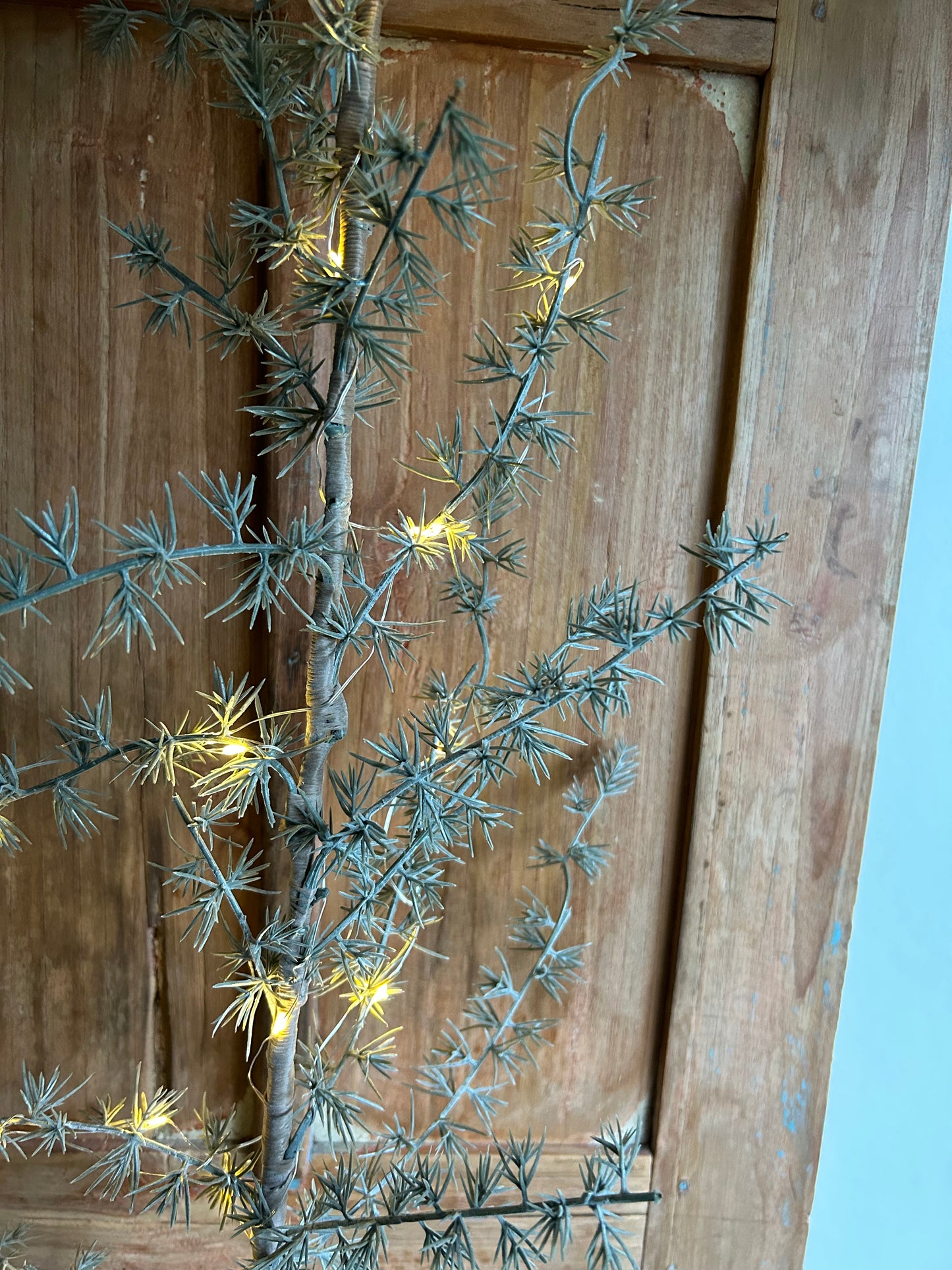 Cederboompje met verlichting