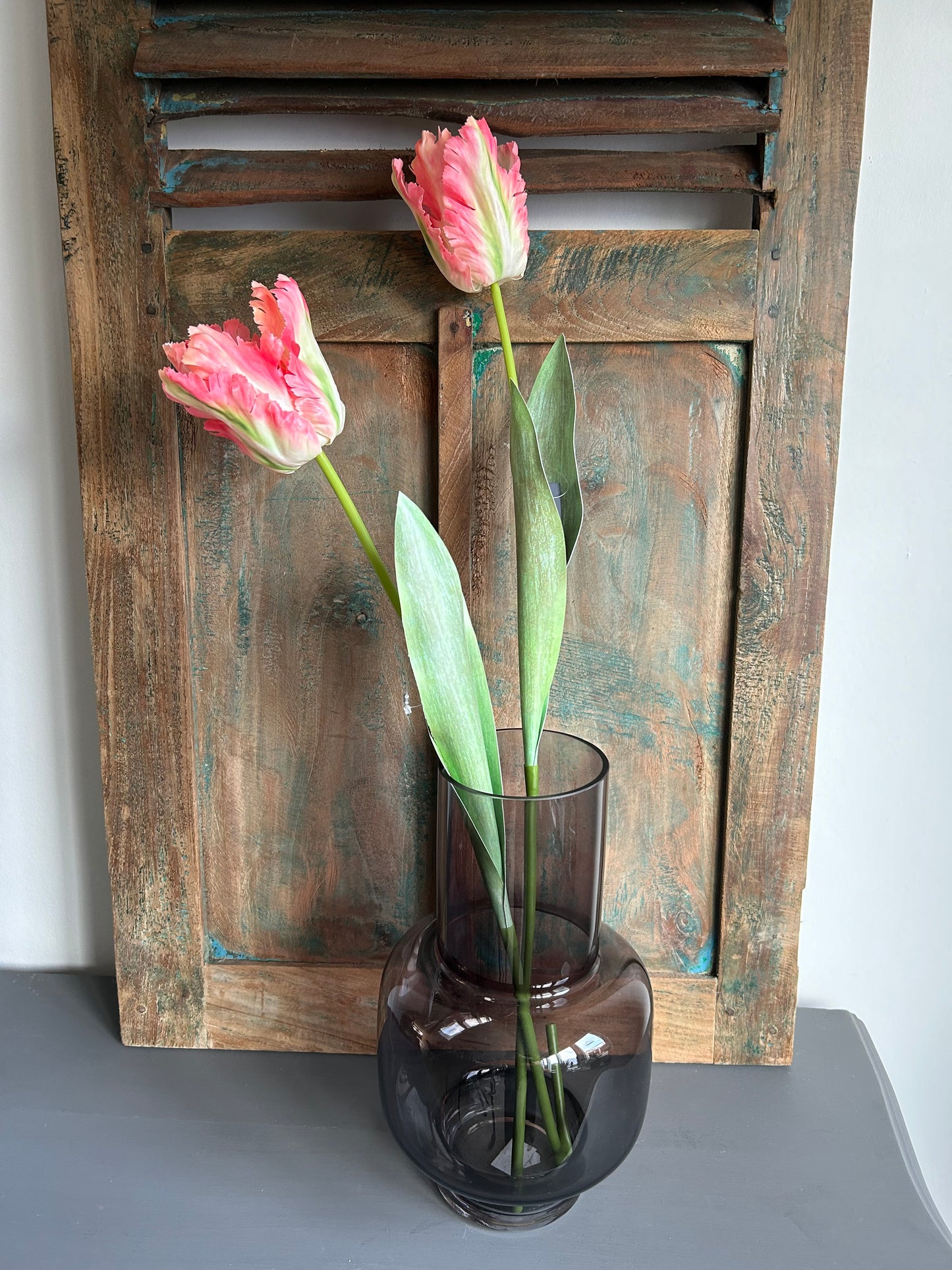 Franse tulp zalm