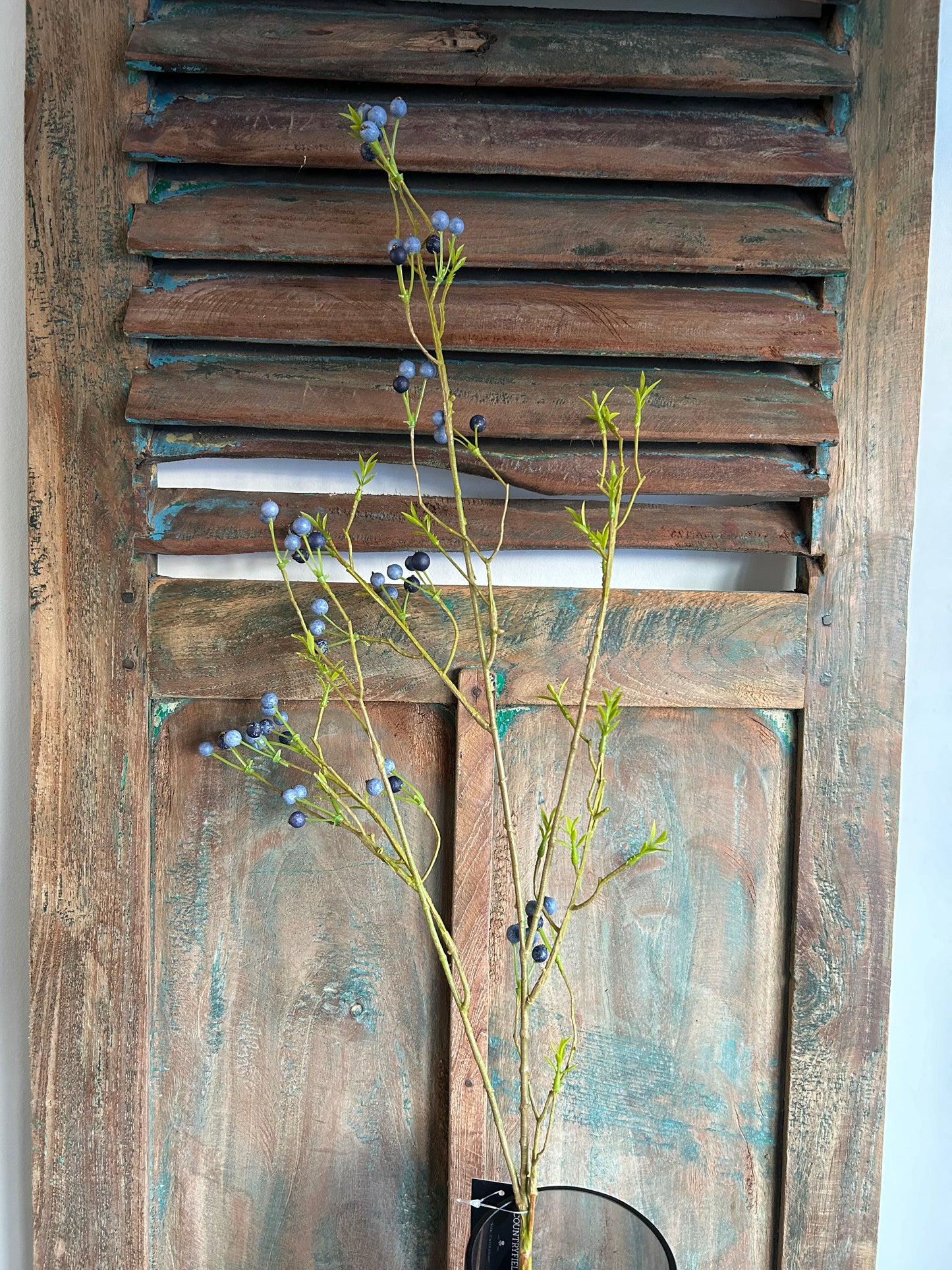 Ligusterbes blauw