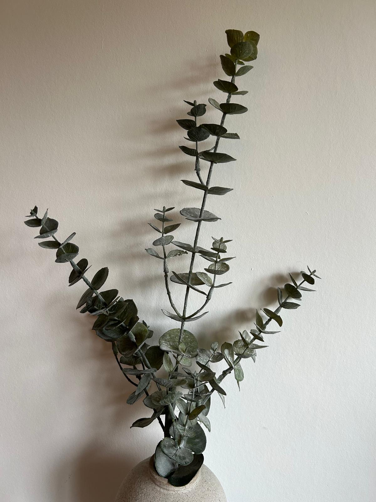 eucalyptus kunst